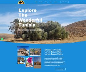 Screenshot of a professionally designed Tunisian tourism website homepage by Ariful Islam